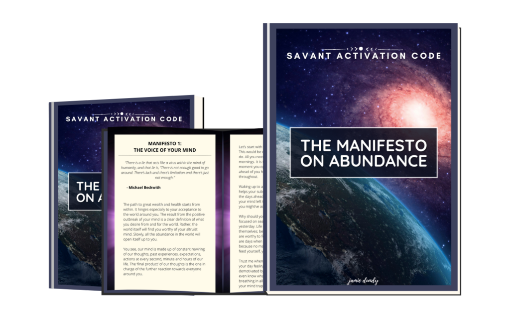 The Manifesto On Abundance 